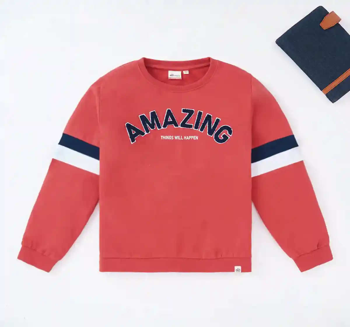 Boys Sweatshirt With Print