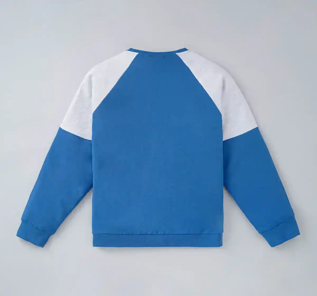 Boys Printed Sweatshirt