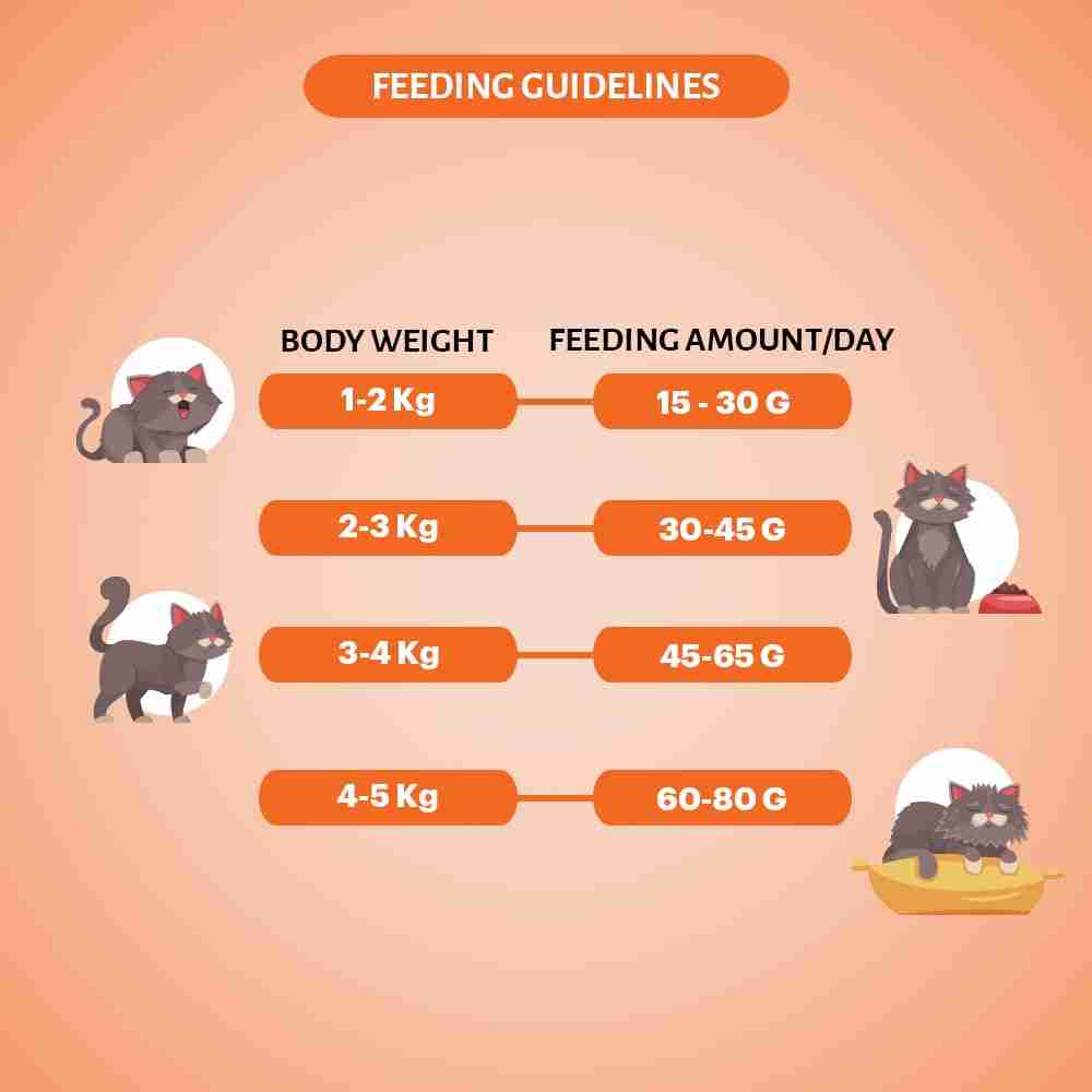 Grain Zero Mackerel Adult Cat Dry Food For All Breed,