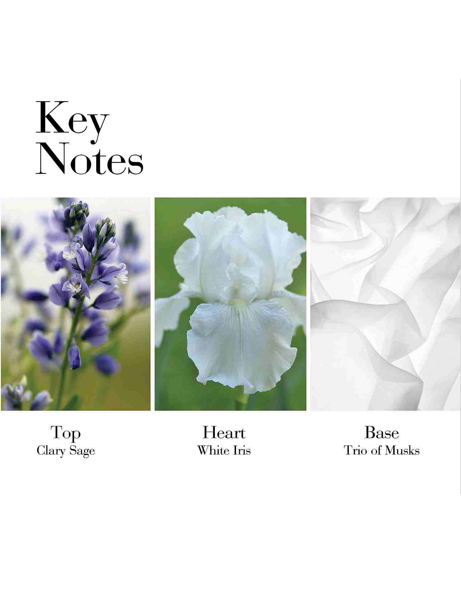White Tea Eau De Toilette • 50ml