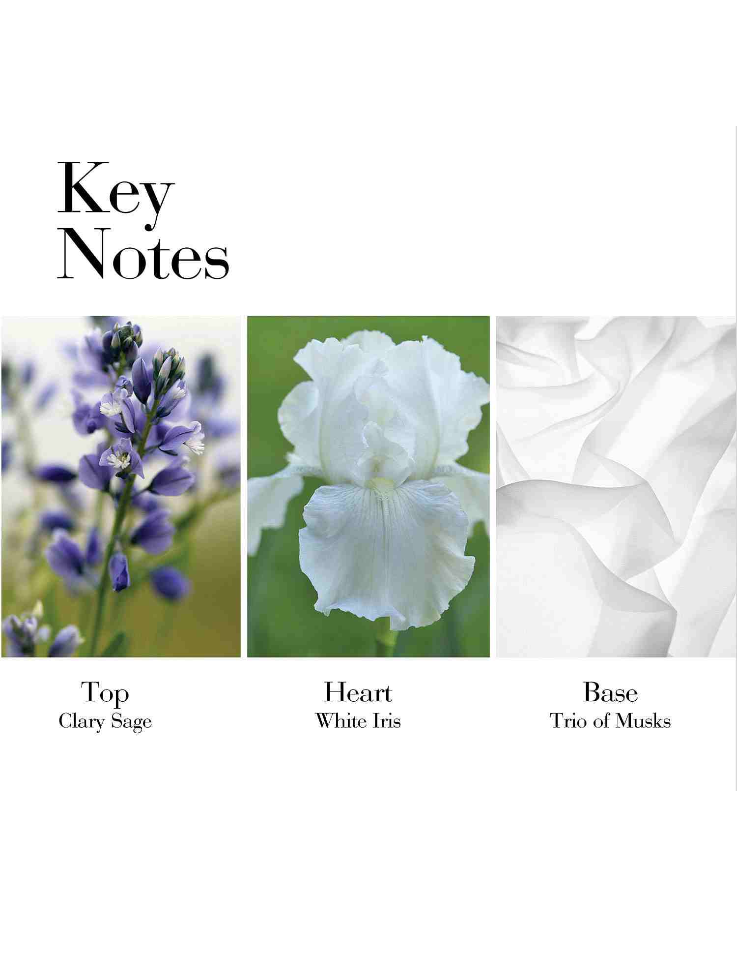 White Tea Eau De Toilette • 100ml