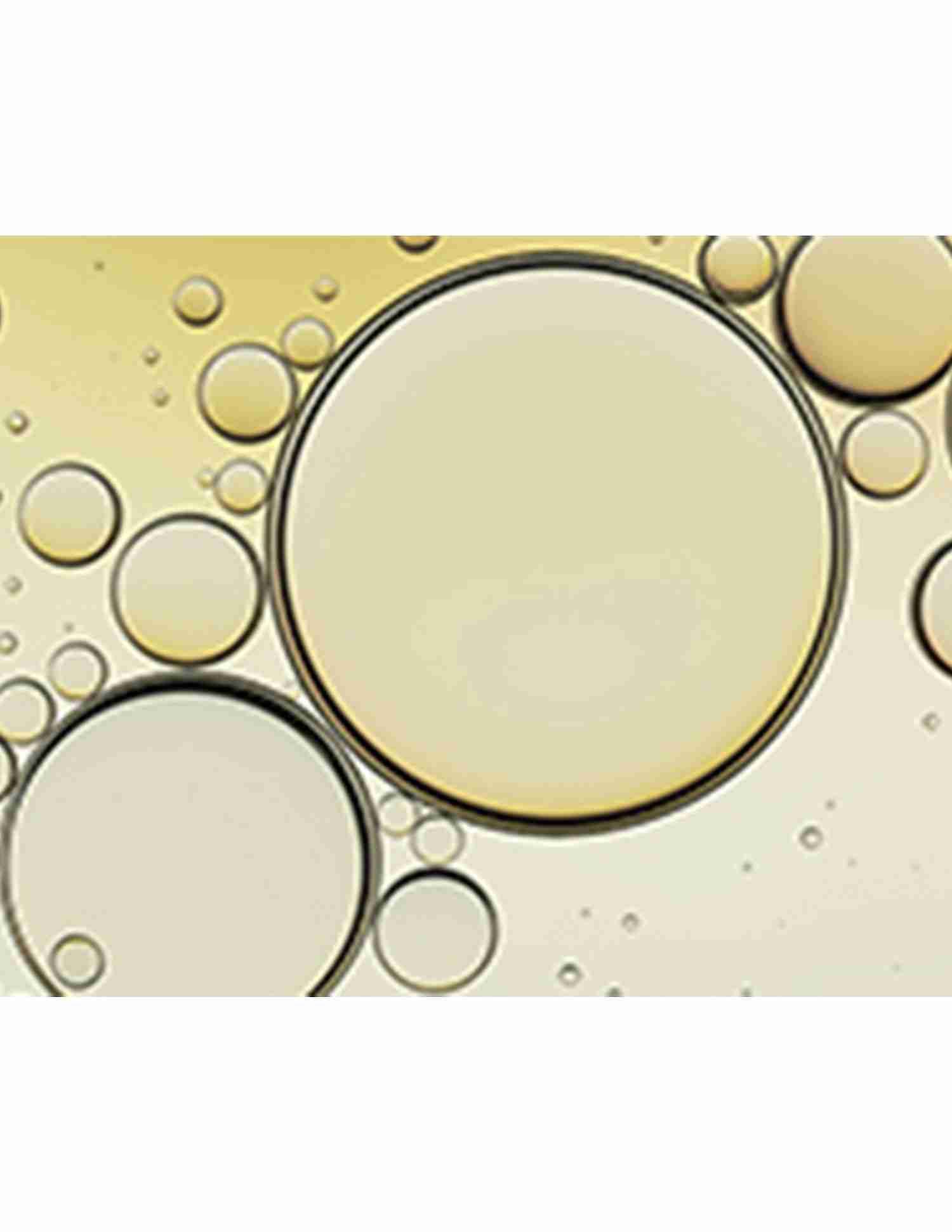 Ceramide Purifying Toner • 200ml