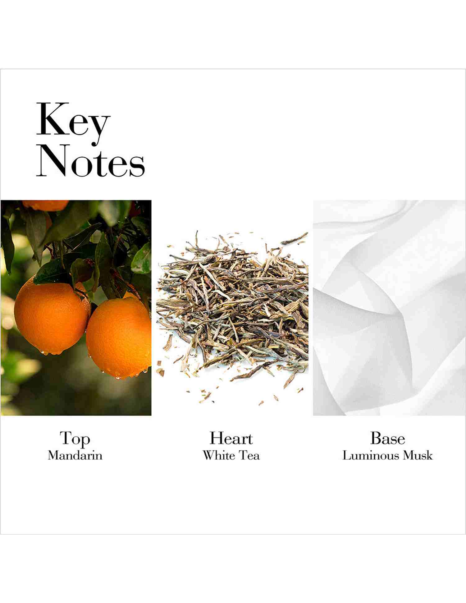 White Tea Mandarin Blossom Eau De Toilette Spray • 100ml