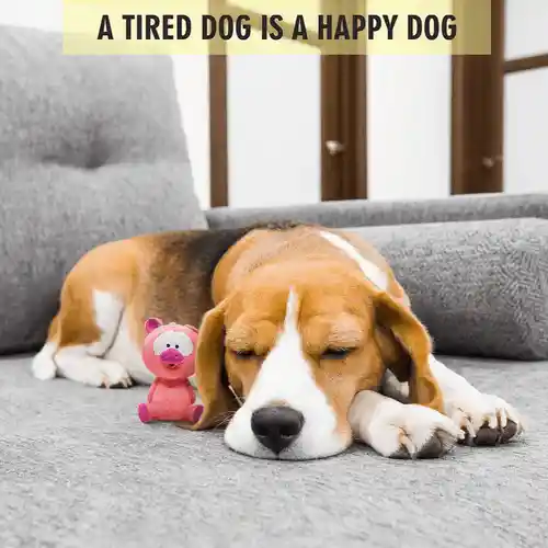 Barkbutler Fofos Latex Bi Small Pig Toy for Dogs