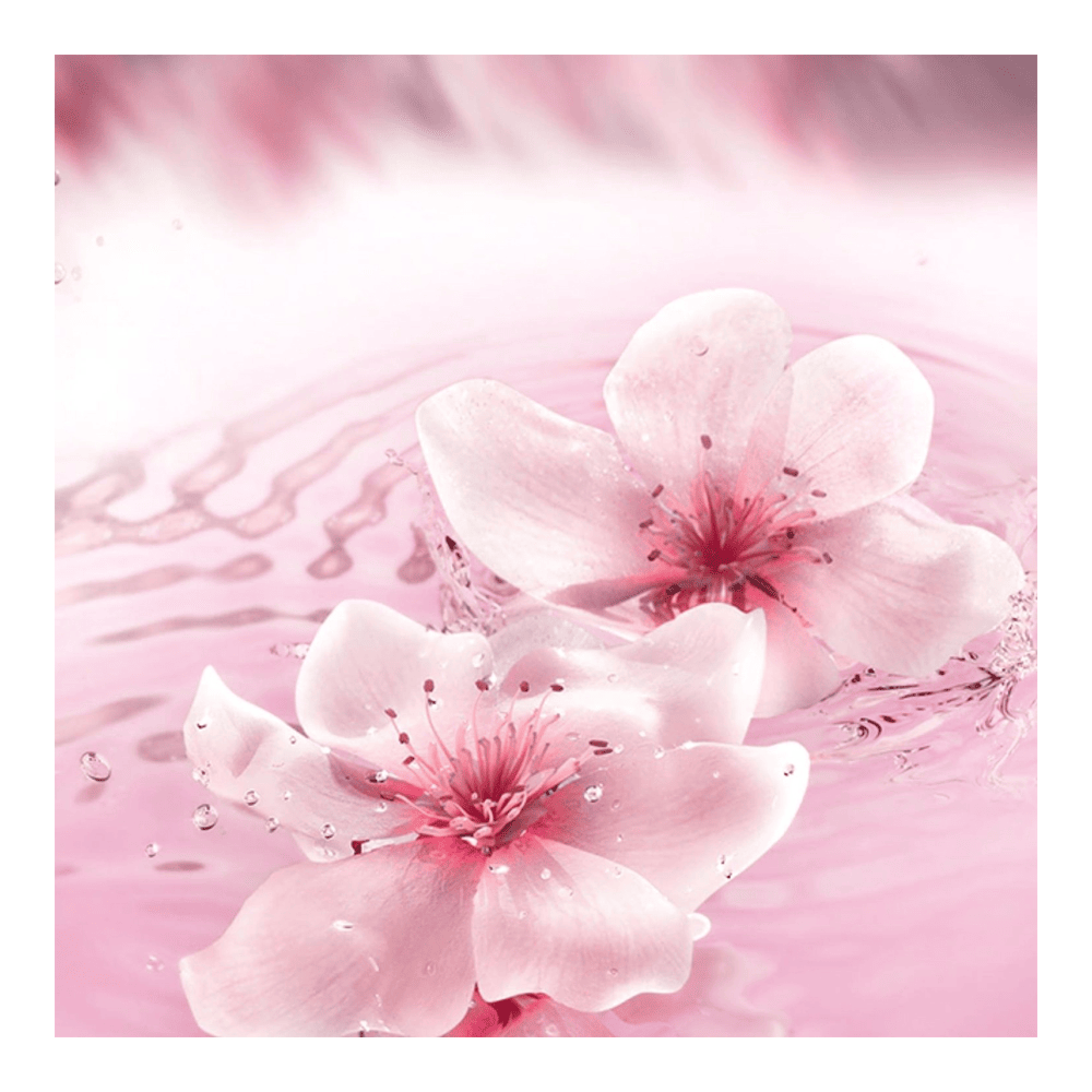 Dream Dusk Eau De Parfum • 100ml