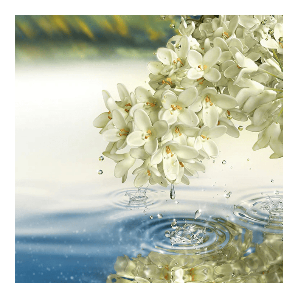 Paradise Moon Eau De Parfum • 100ml