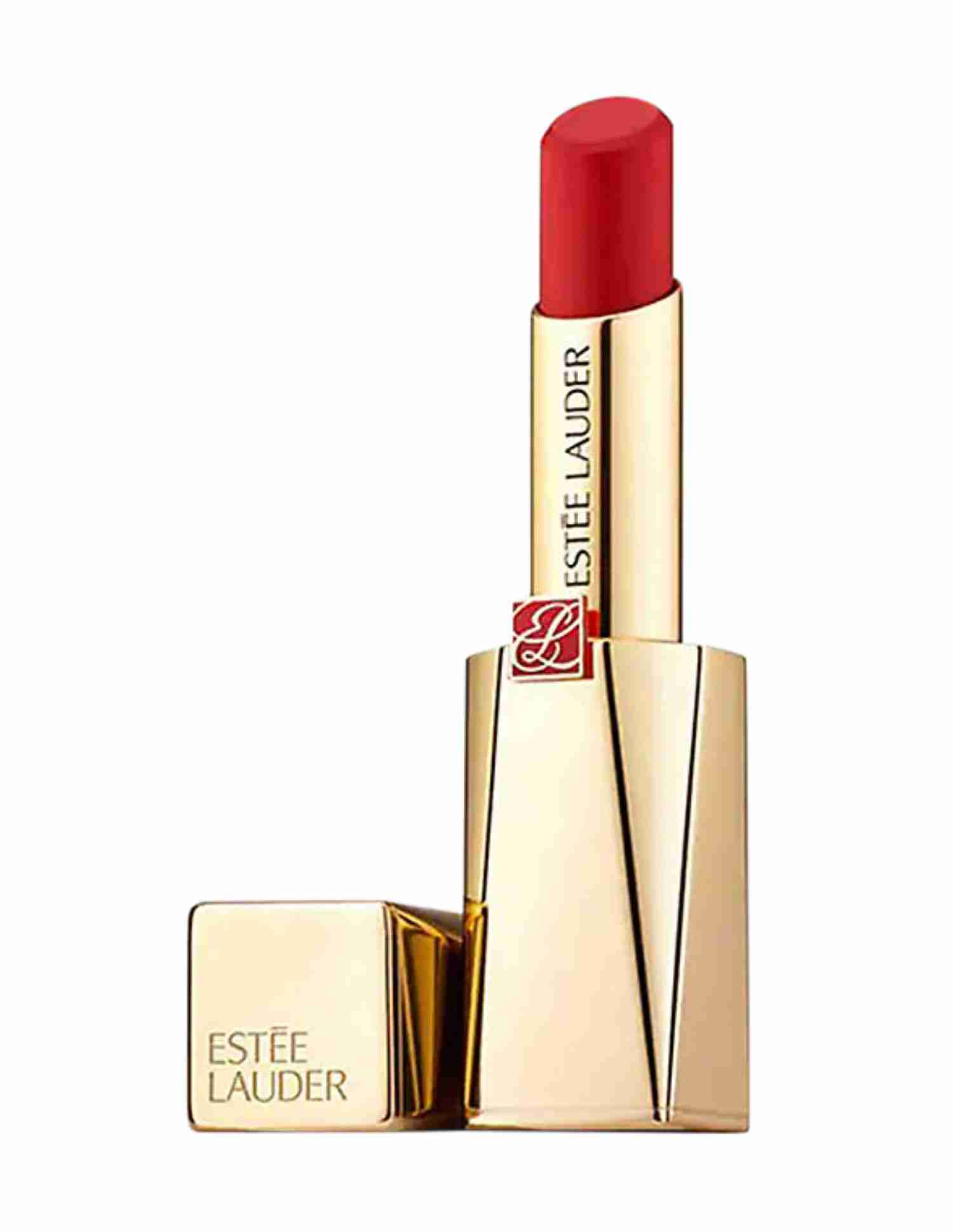 Pure Color Desire Rouge Excess Matte Lipstick • 313 Bite Back