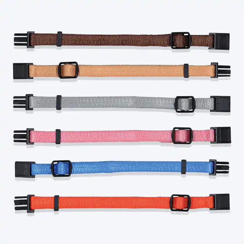 Trixie Set Of 6 Puppy Collars Light Colours