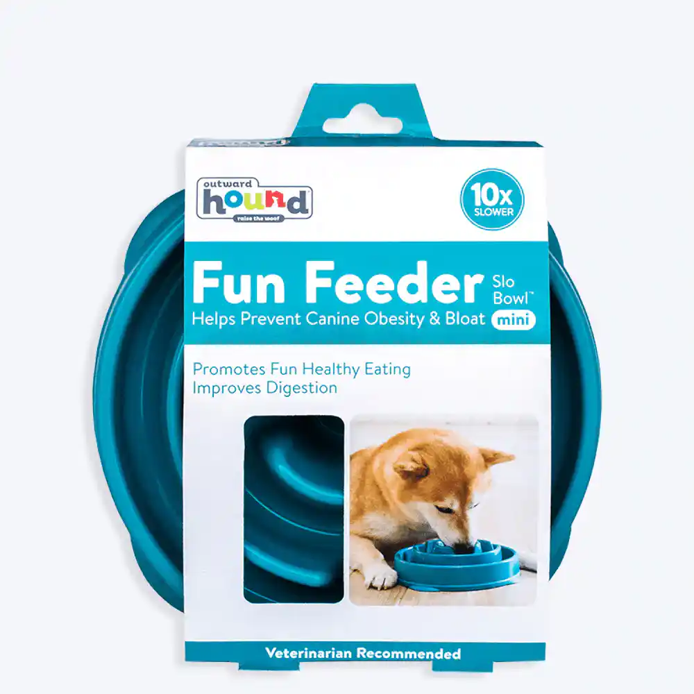 Outward Hound Mini Breed Slow Feeder Dog Bowl