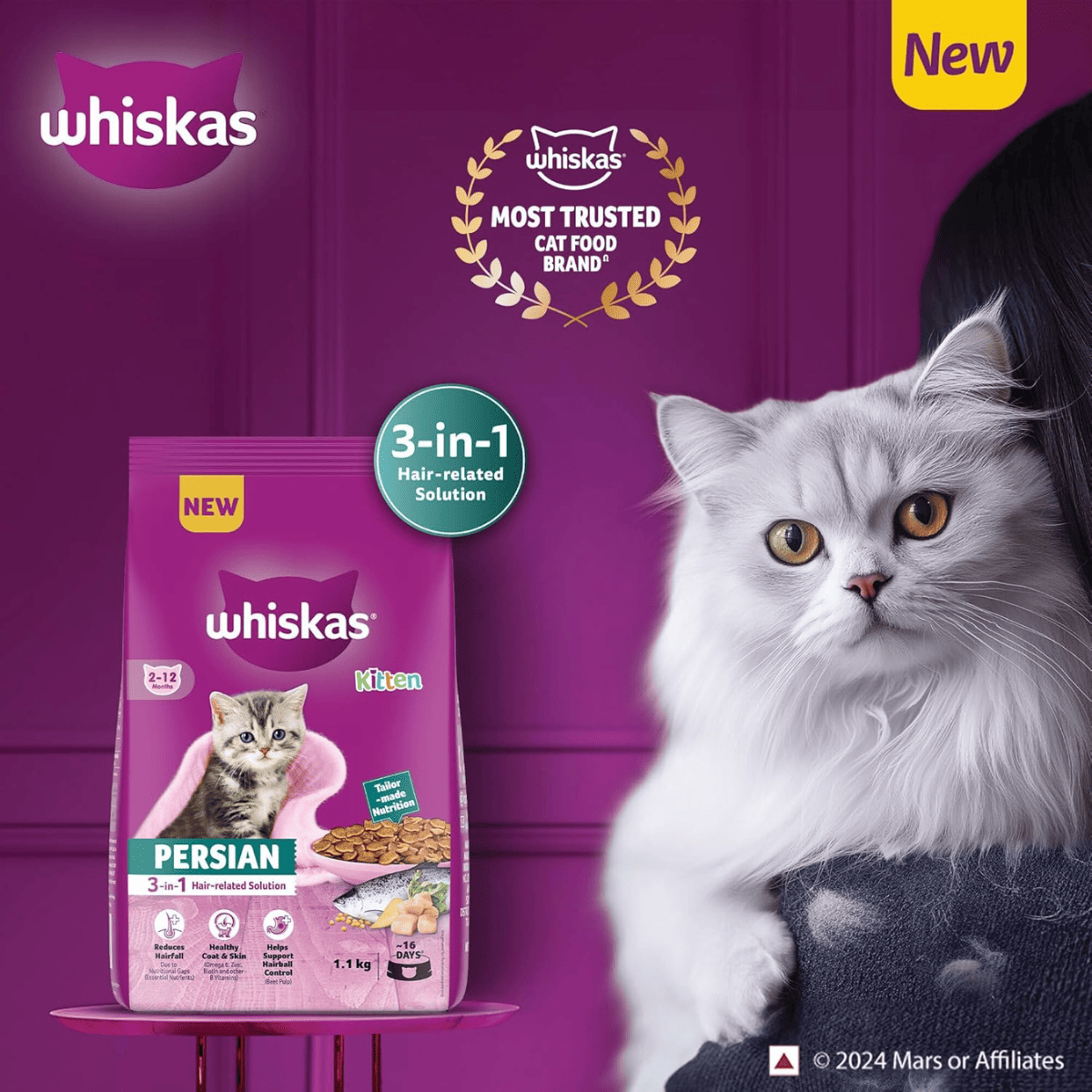Whiskas (2 to 12 months) Persian Kitten Cat Dry Food