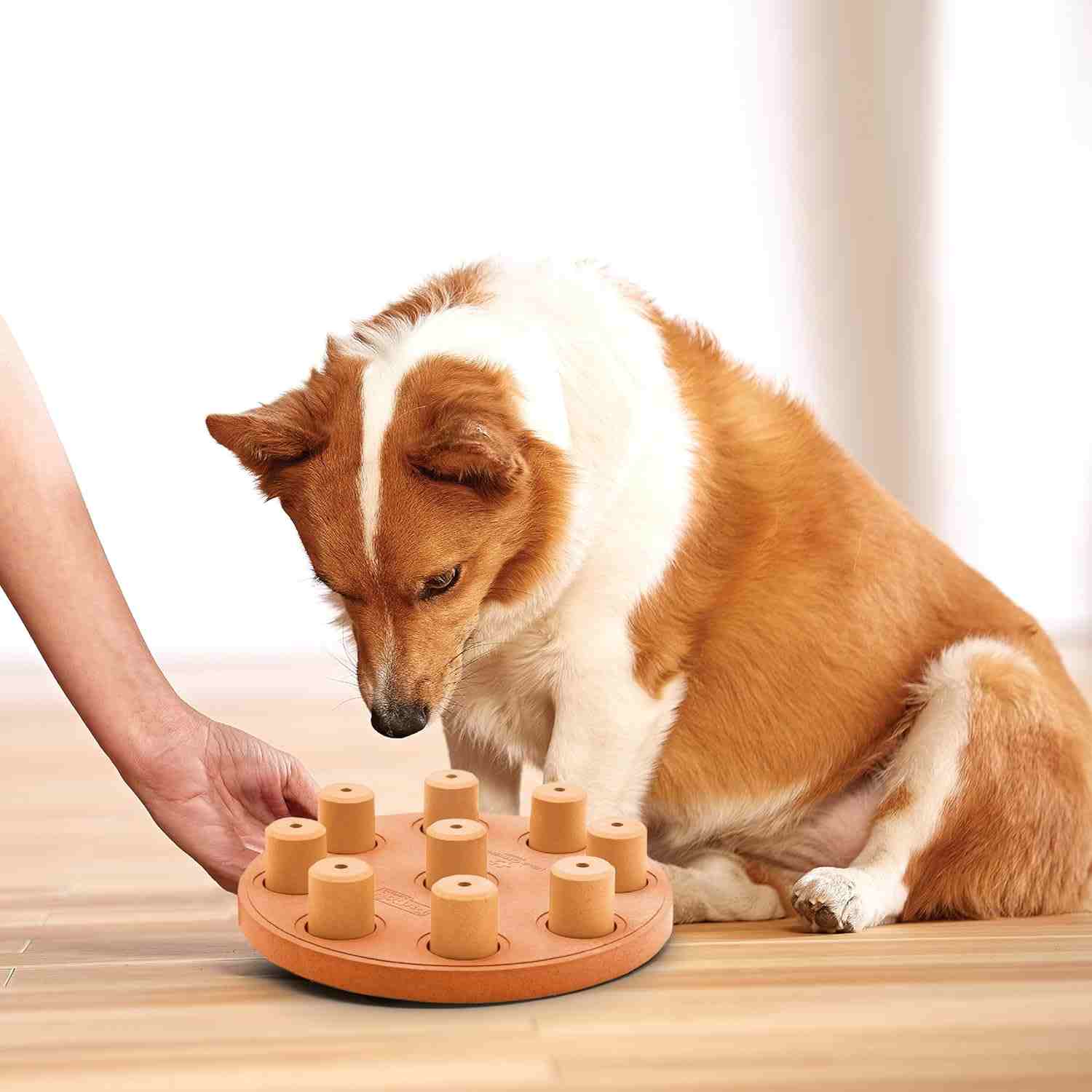 Outward Hound Smart Composite Interactive Dog Toy, 23cm (Orange)