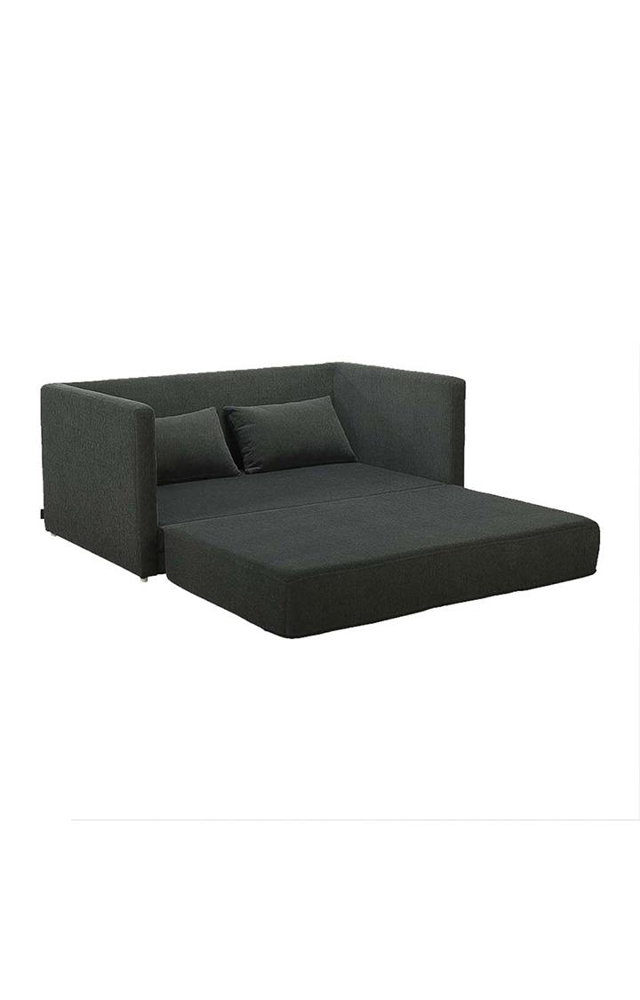 neudot Max Fabric Pull-Out Sofa Cum Bed for Living Room | 2 Seater Sofa Bed for Drawing Room & Bedroom | Diwan | Astro Grey Color