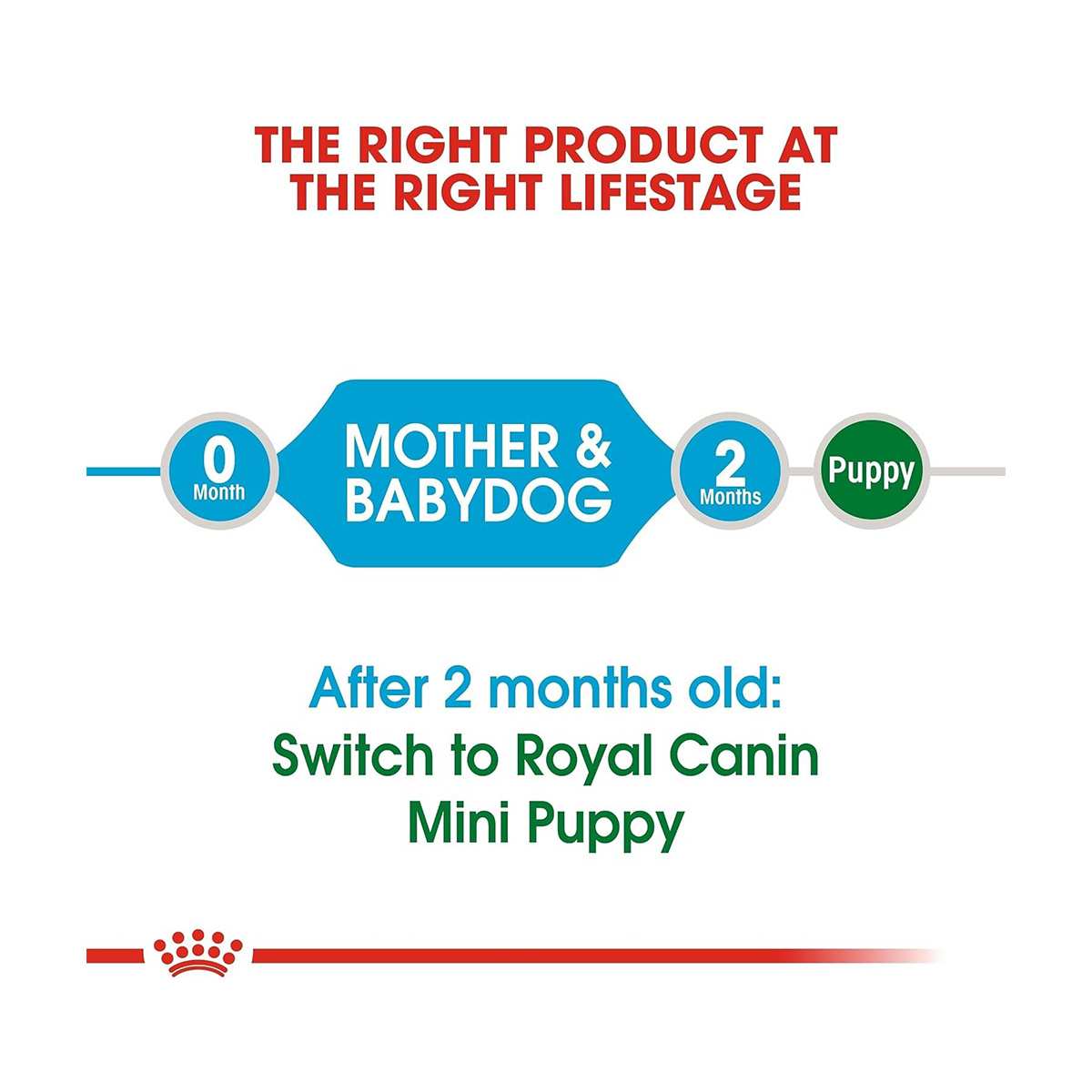 Royal Canin Mini Starter Dry Dog Food, 220g with Mini Puppy Gravy, 85g (220g + 85g)