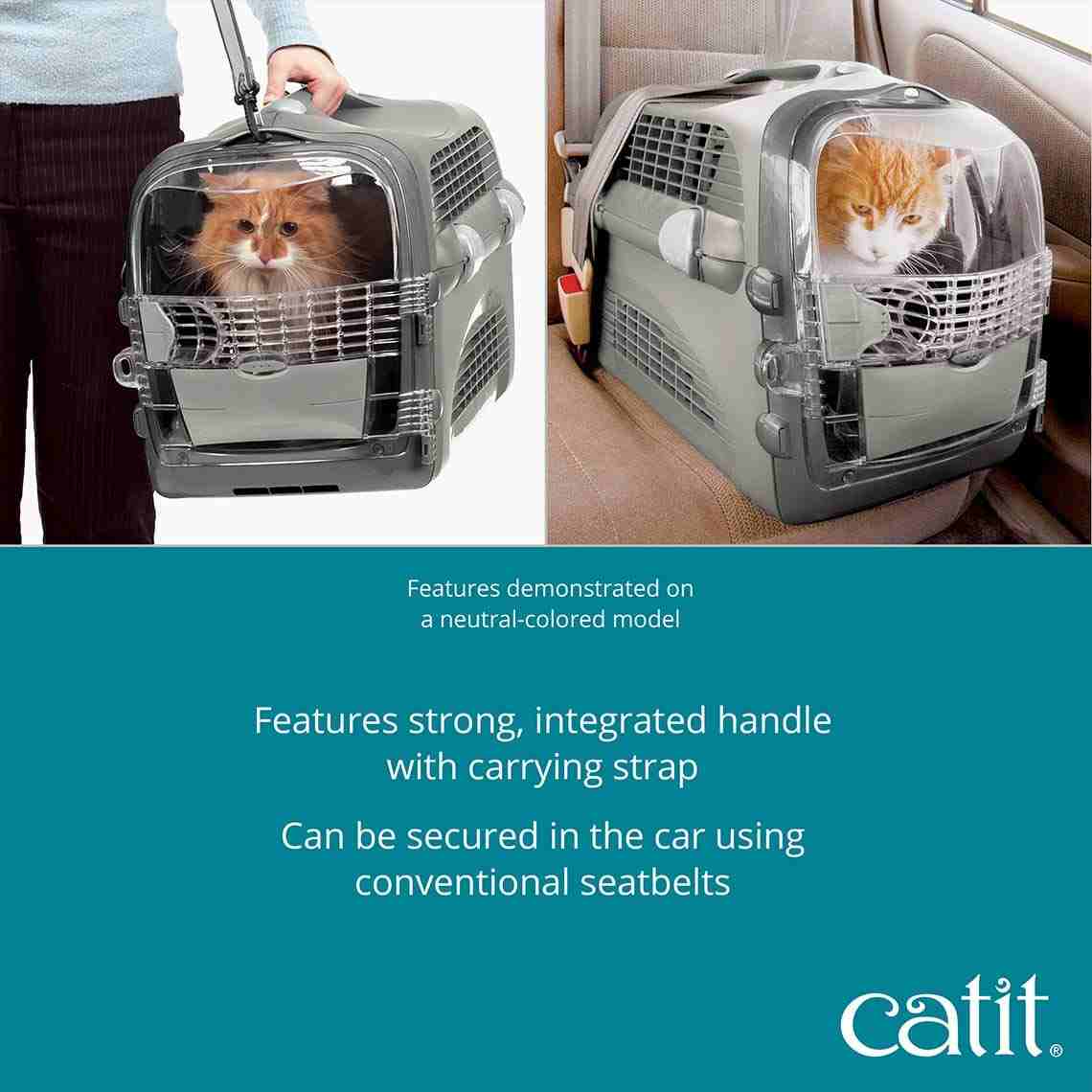 Catit Cabrio Carrier for Cats, Turquoise