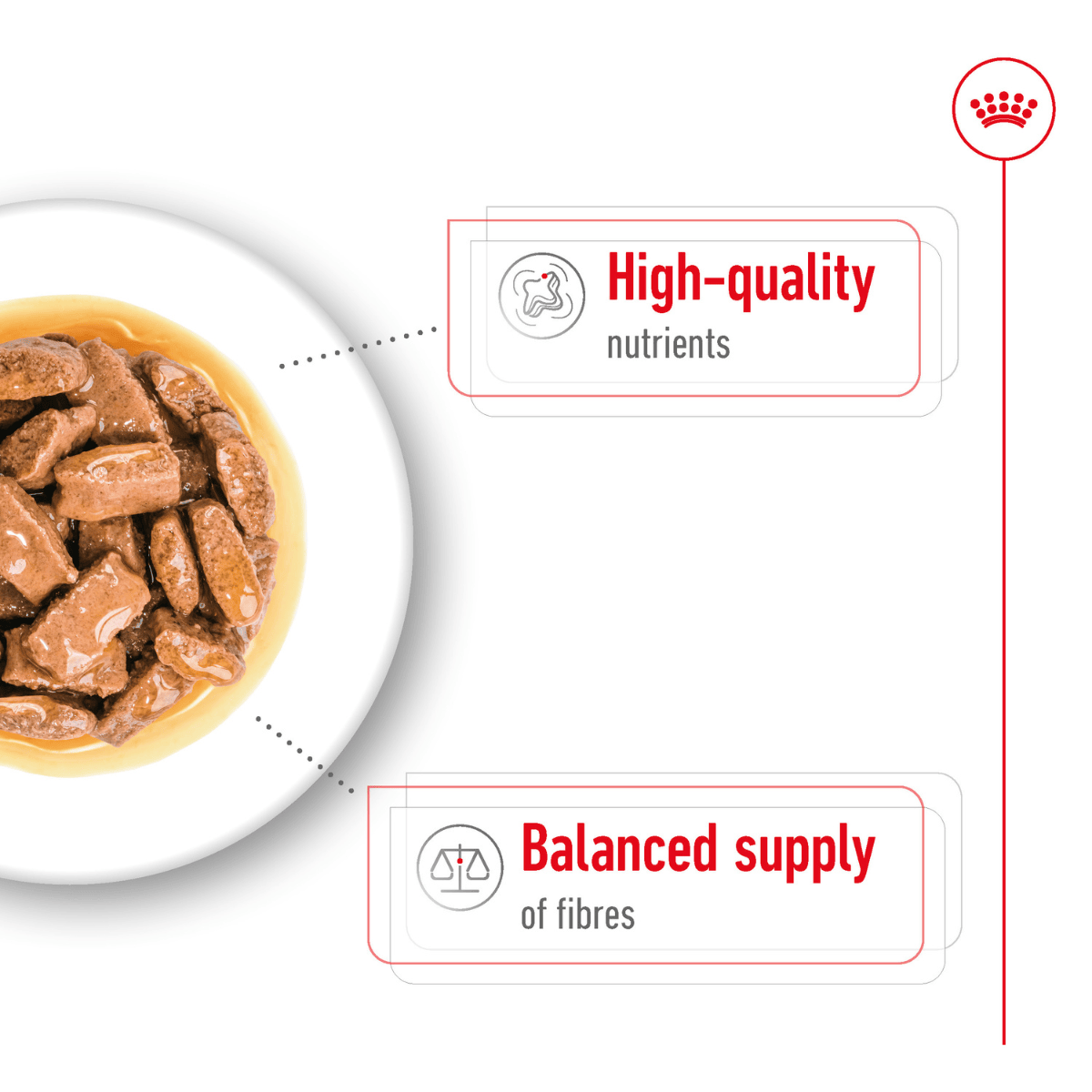 Royal Canin Maxi Adult Wet Dog Food - 140 g