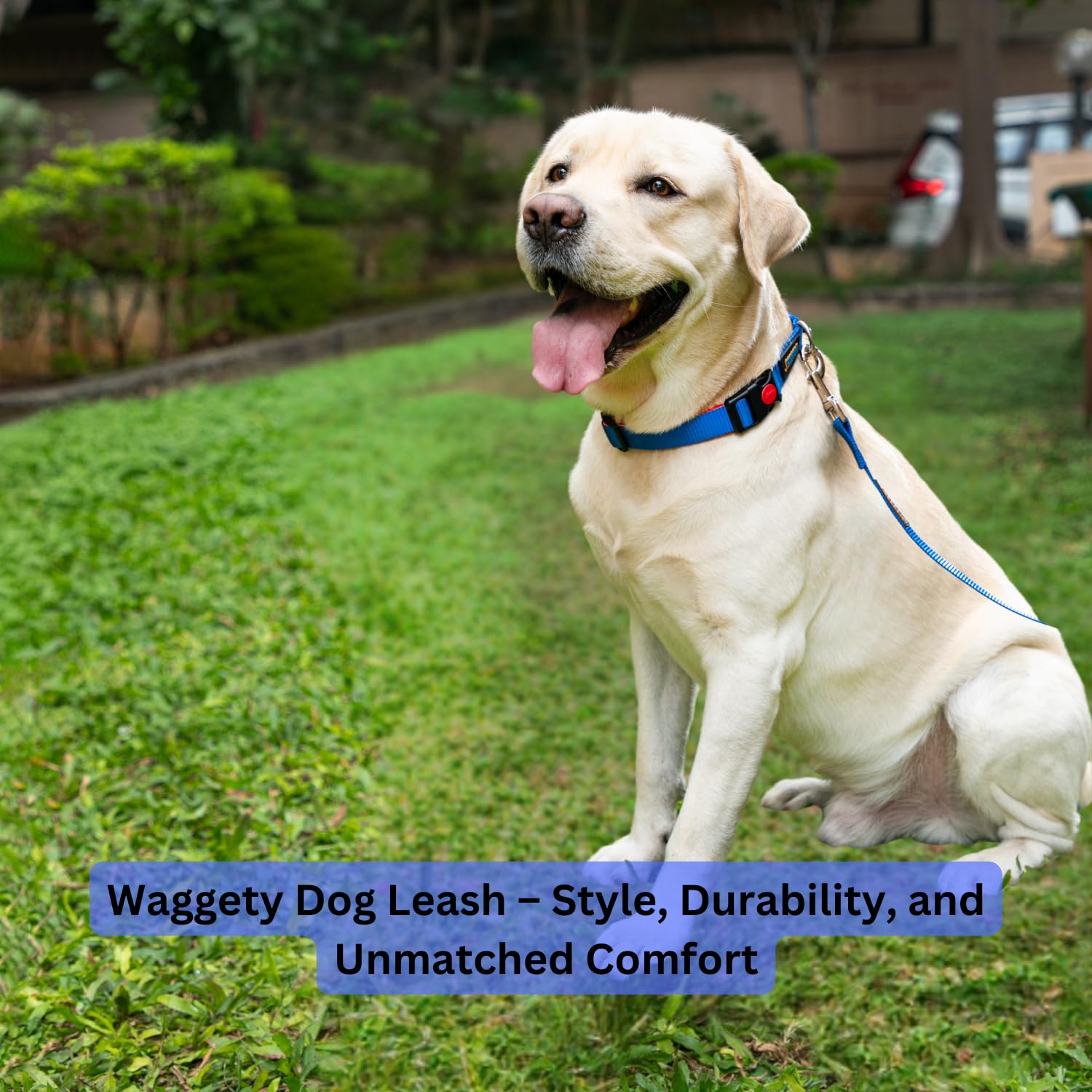 Waggety Dog Leash, Blue