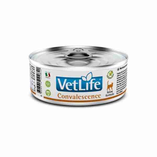 Farmina Vet life Convalesence Wet Cat Food - 85 g