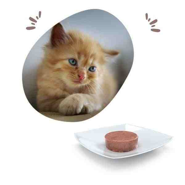 Farmina Vet life Convalesence Wet Cat Food - 85 g