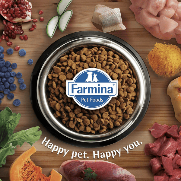 Farmina N&D Quinoa Dog Skin & Coat Grain-Free Adult Medium-Maxi Dry Dog Food - 7 Kg