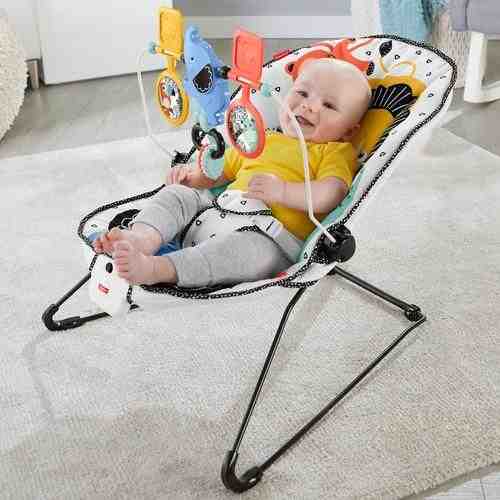 Fisher-Price Unisex Carnival Curve Baby Bouncers - Multicolor