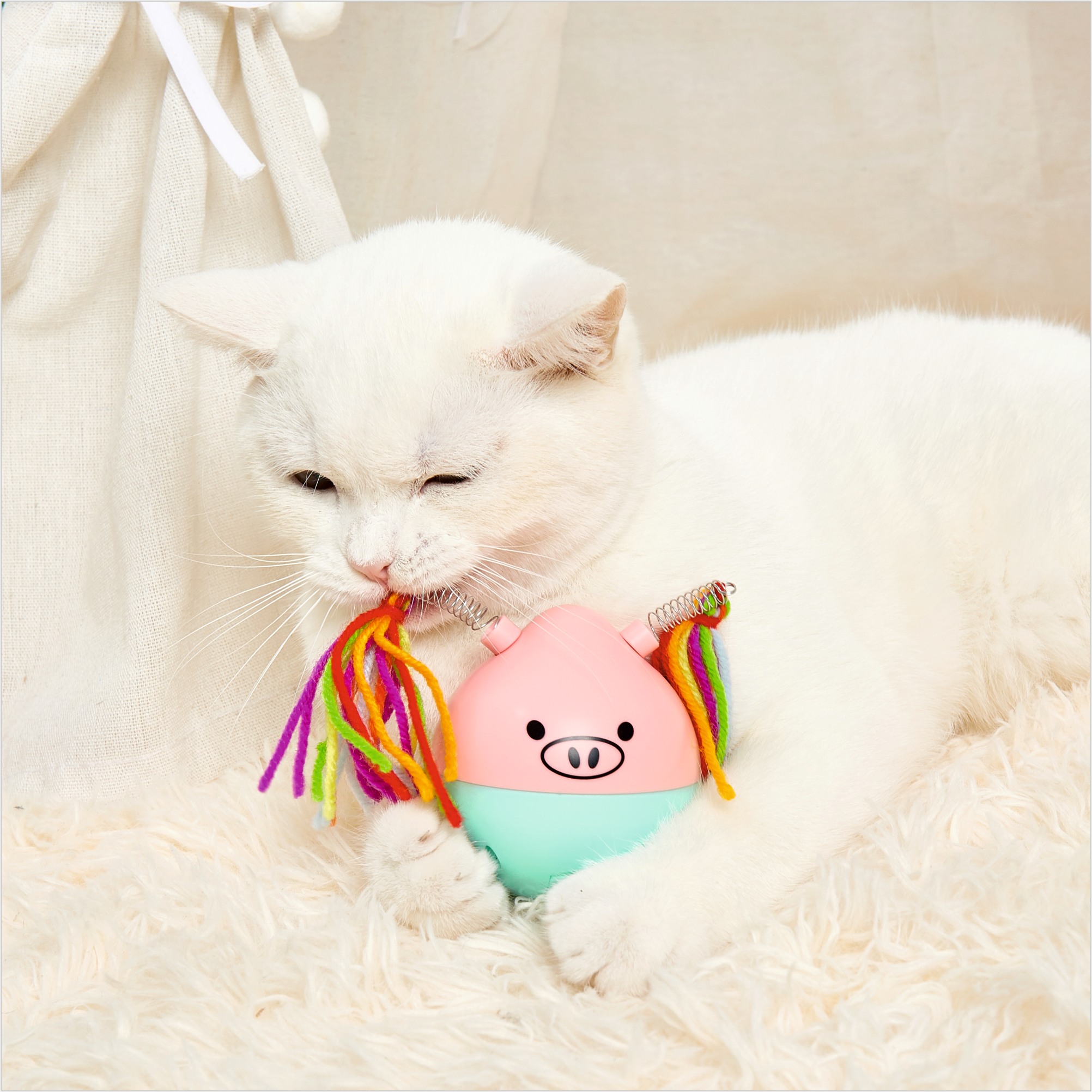 FOFOS Crazy Tumbler Pig Toy for Cats