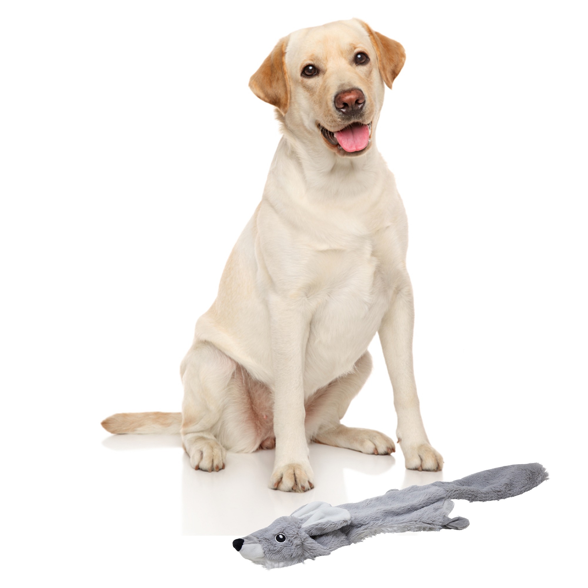 FOFOS Skinneez Rabbit Toy for Dogs