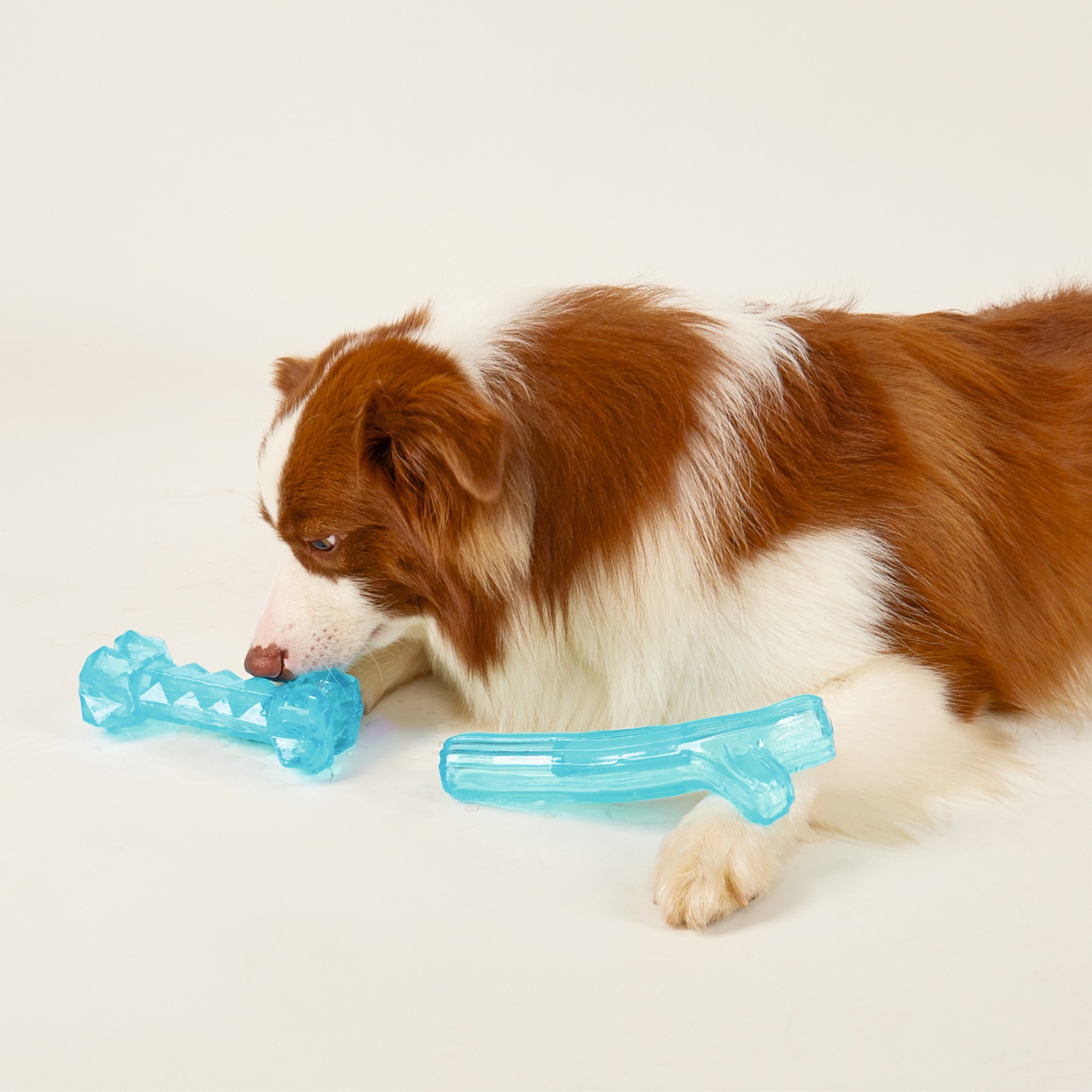 FOFOS Cooling Branch Chew Toy for Dogs