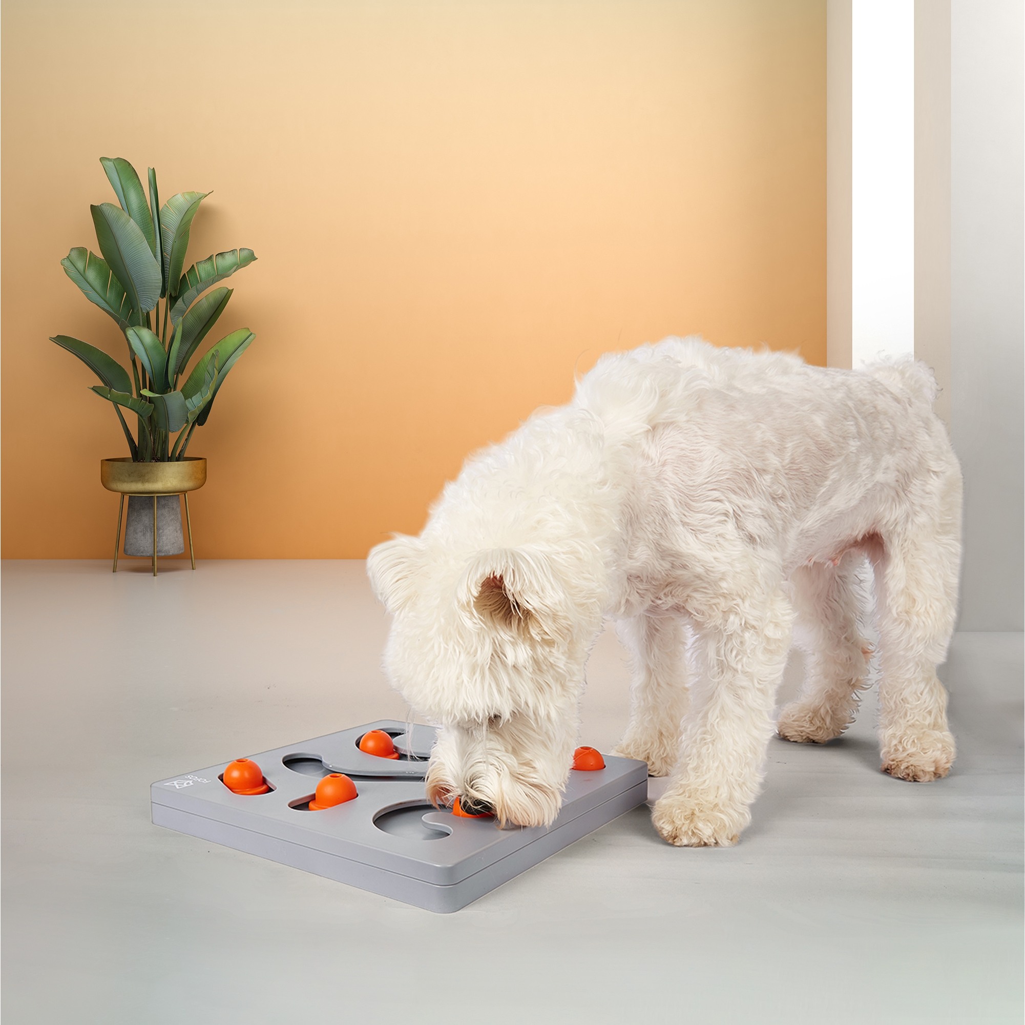 FOFOS Brain Game Puzzle Toy for Dogs