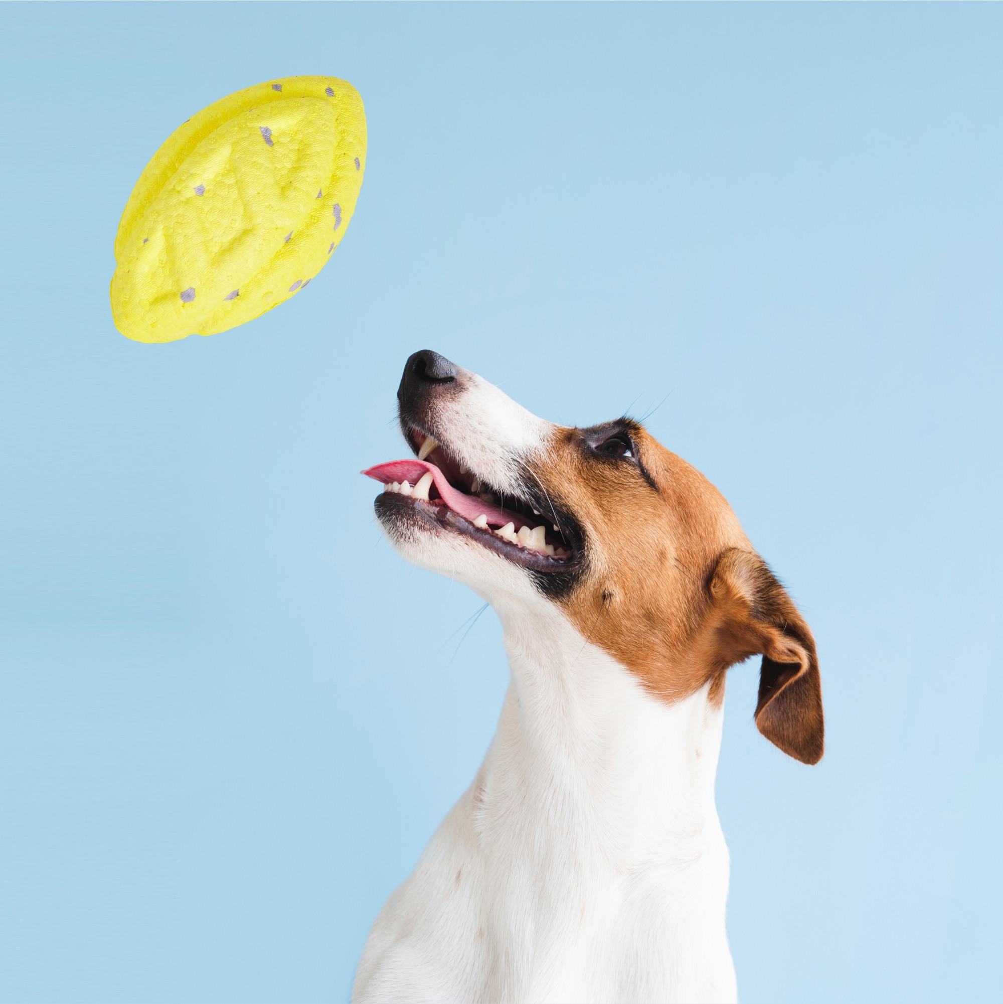 FOFOS Super Lightweight and Durable Flyer Tug Toy for Dogs (Yellow)