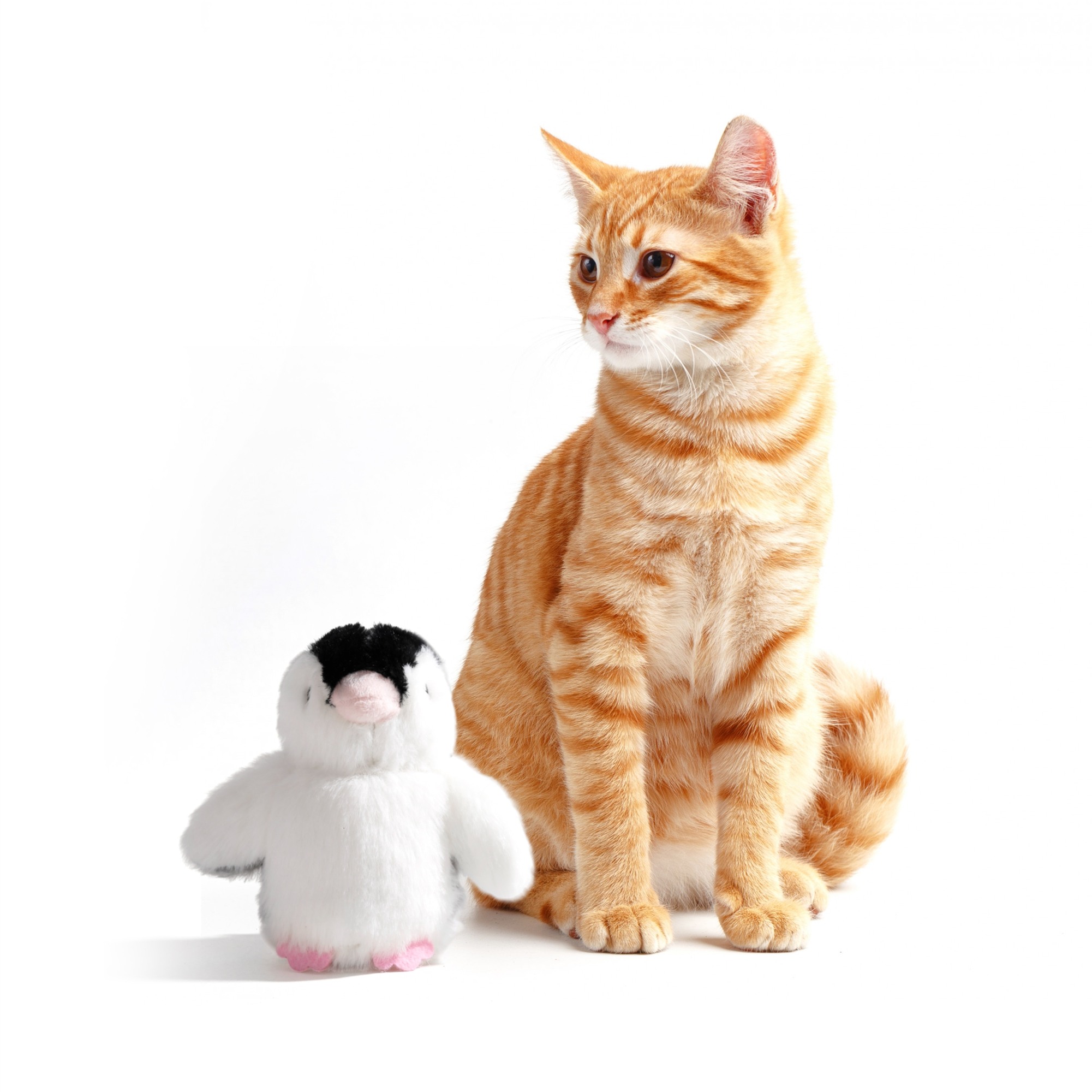 FOFOS Swinging Penguin Toy for Cats