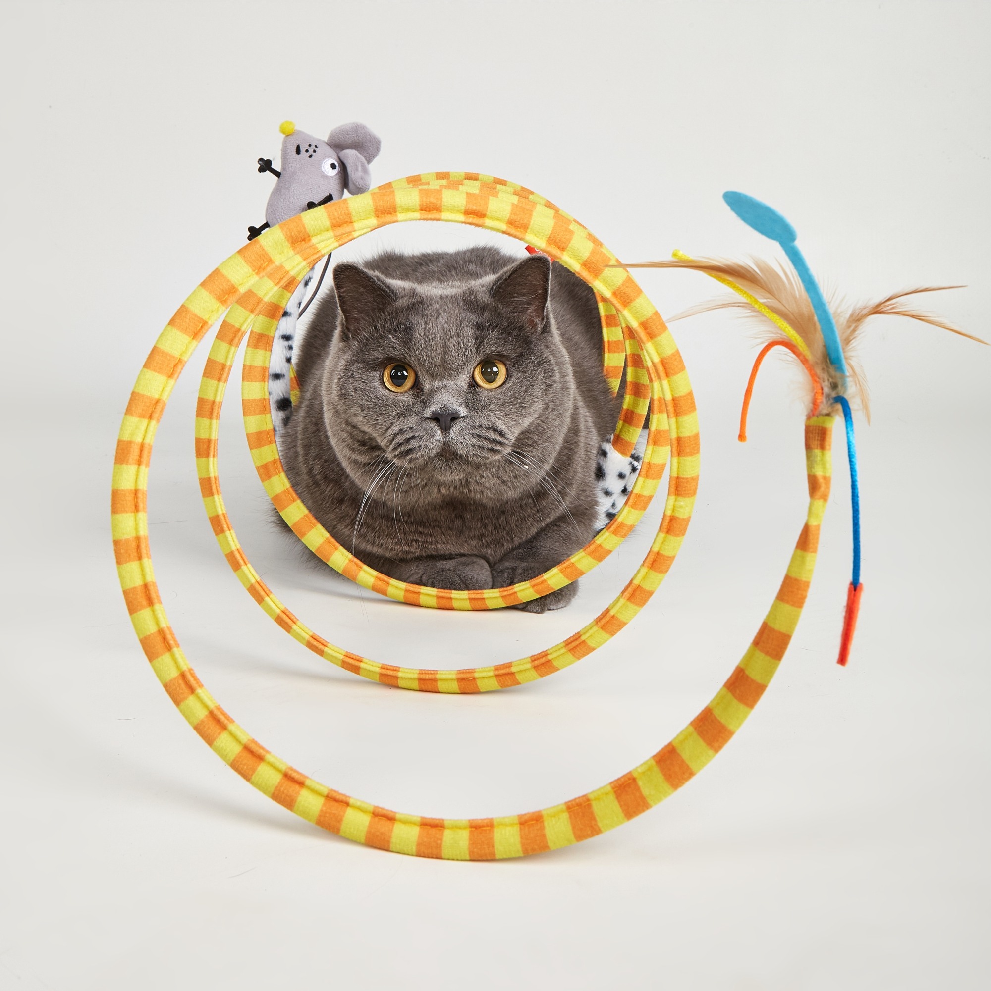 FOFOS Safari Spiral Tunnel Toy for Cats