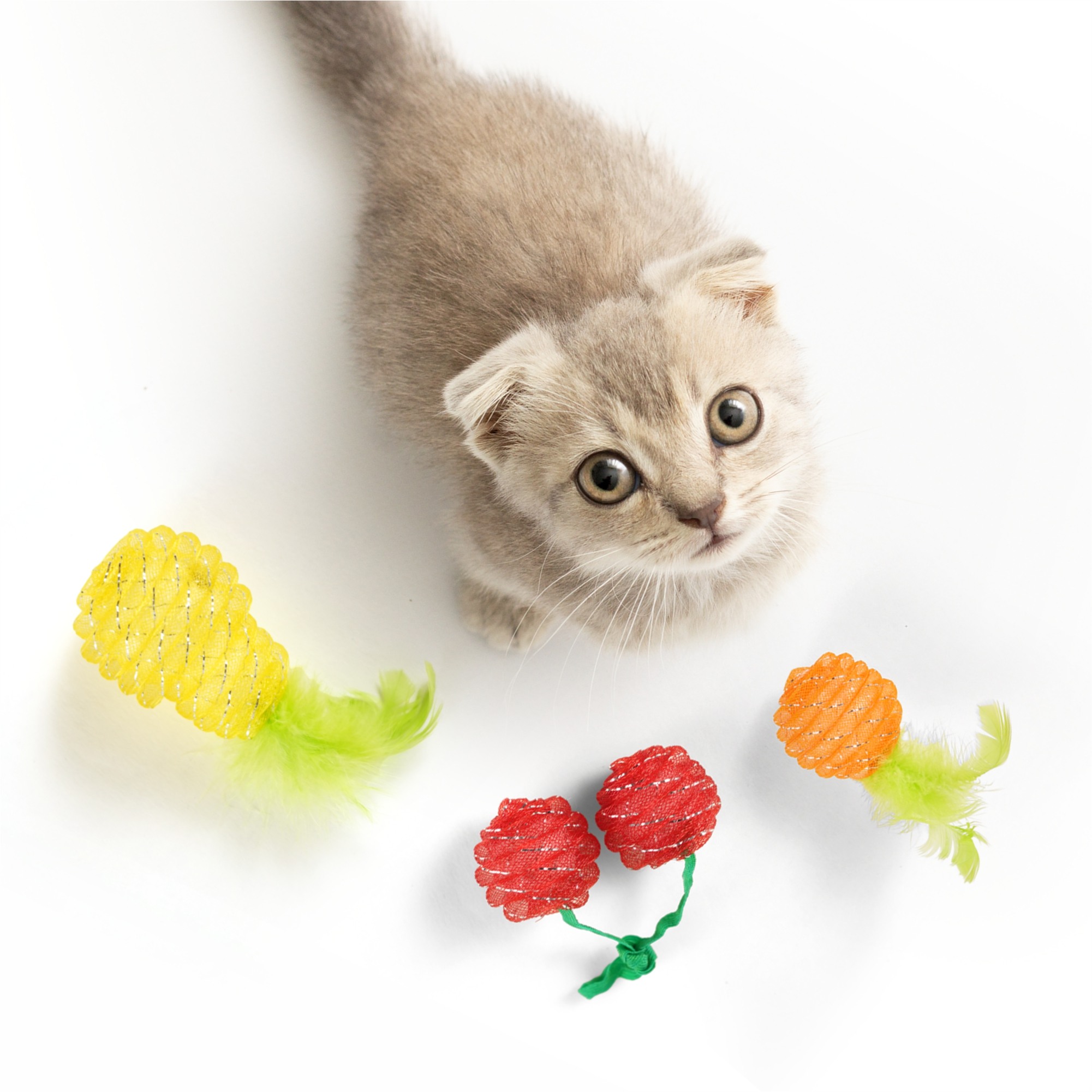 FOFOS Fruity Netting Ball Box Toy for Cats (1 Piece)