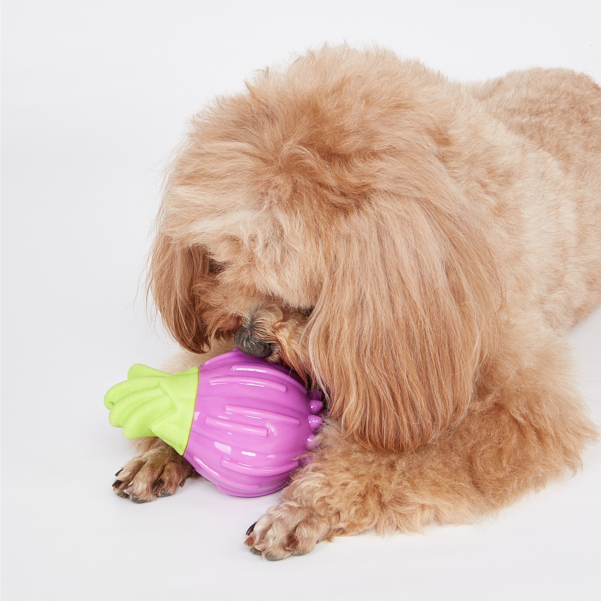 FOFOS Giggling Vegi Bites Onion Squeaky Chew Toy for Dogs