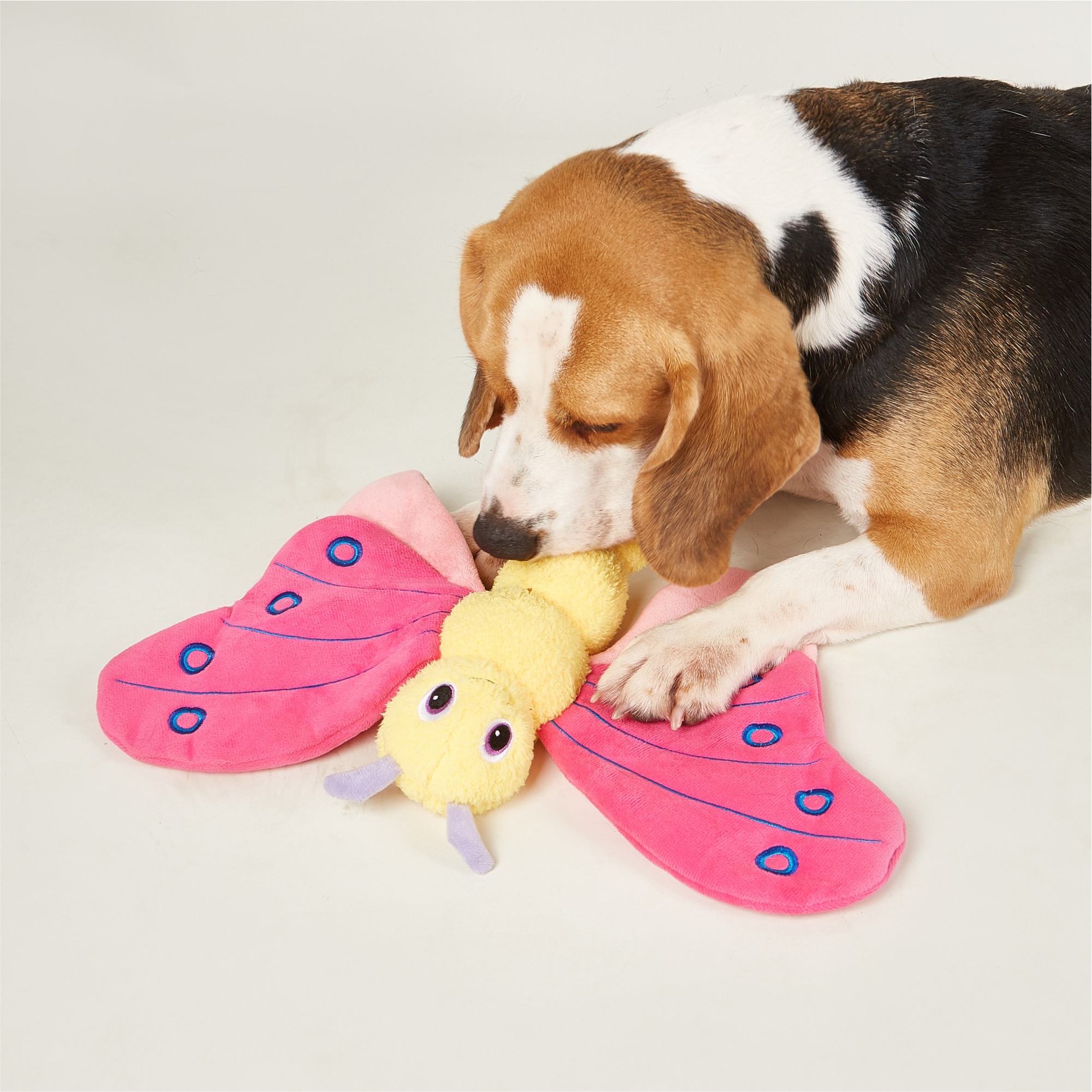 FOFOS Jumbo Butterfly Plush Toy for Dogs (Pink)