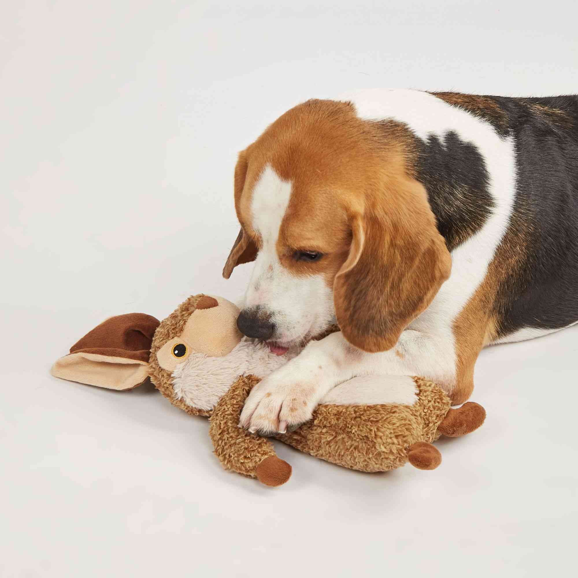 FOFOS | FOFOS Wildlife Rabbit Plush Toy for Dogs