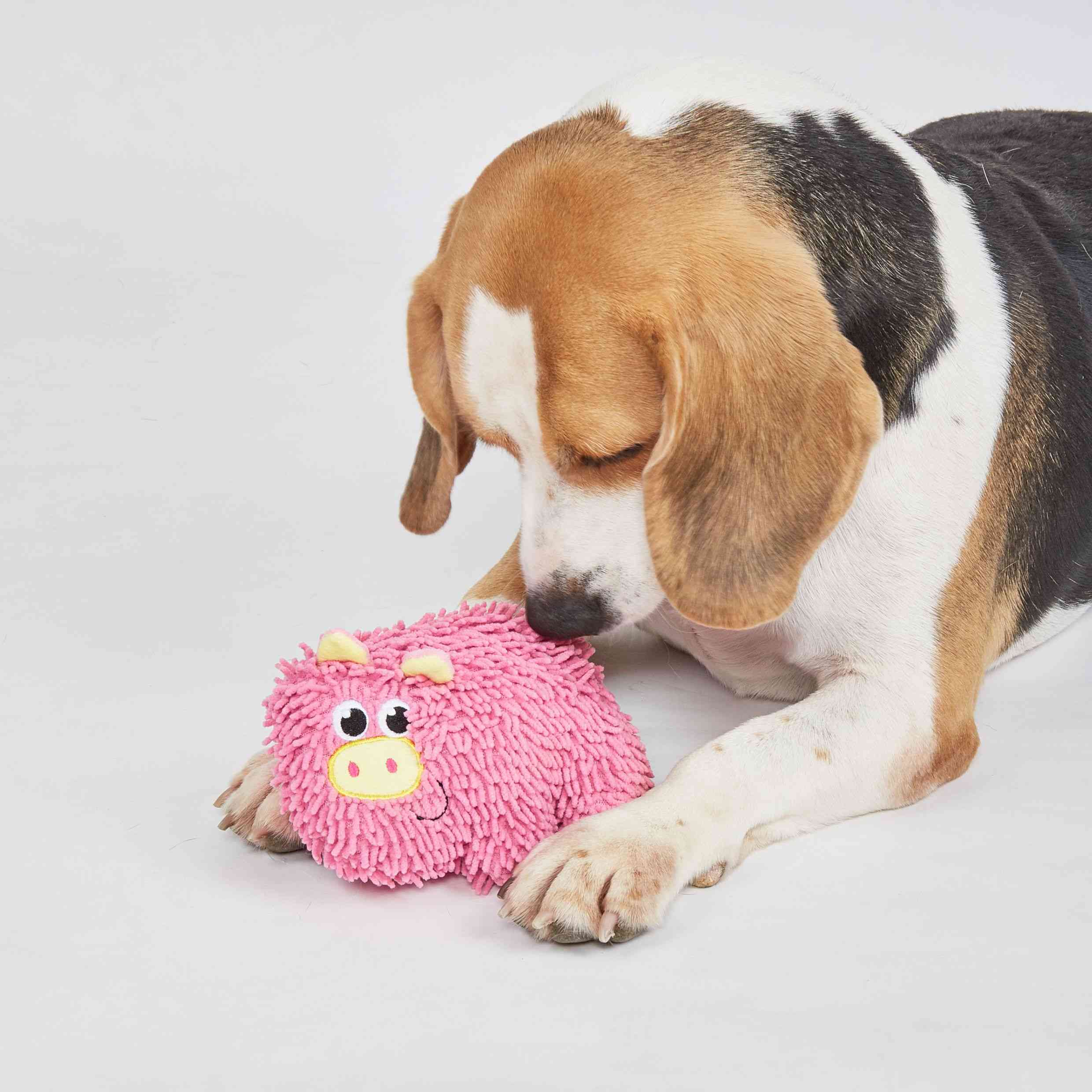 FOFOS Tough Pig Chew Toy for Dogs