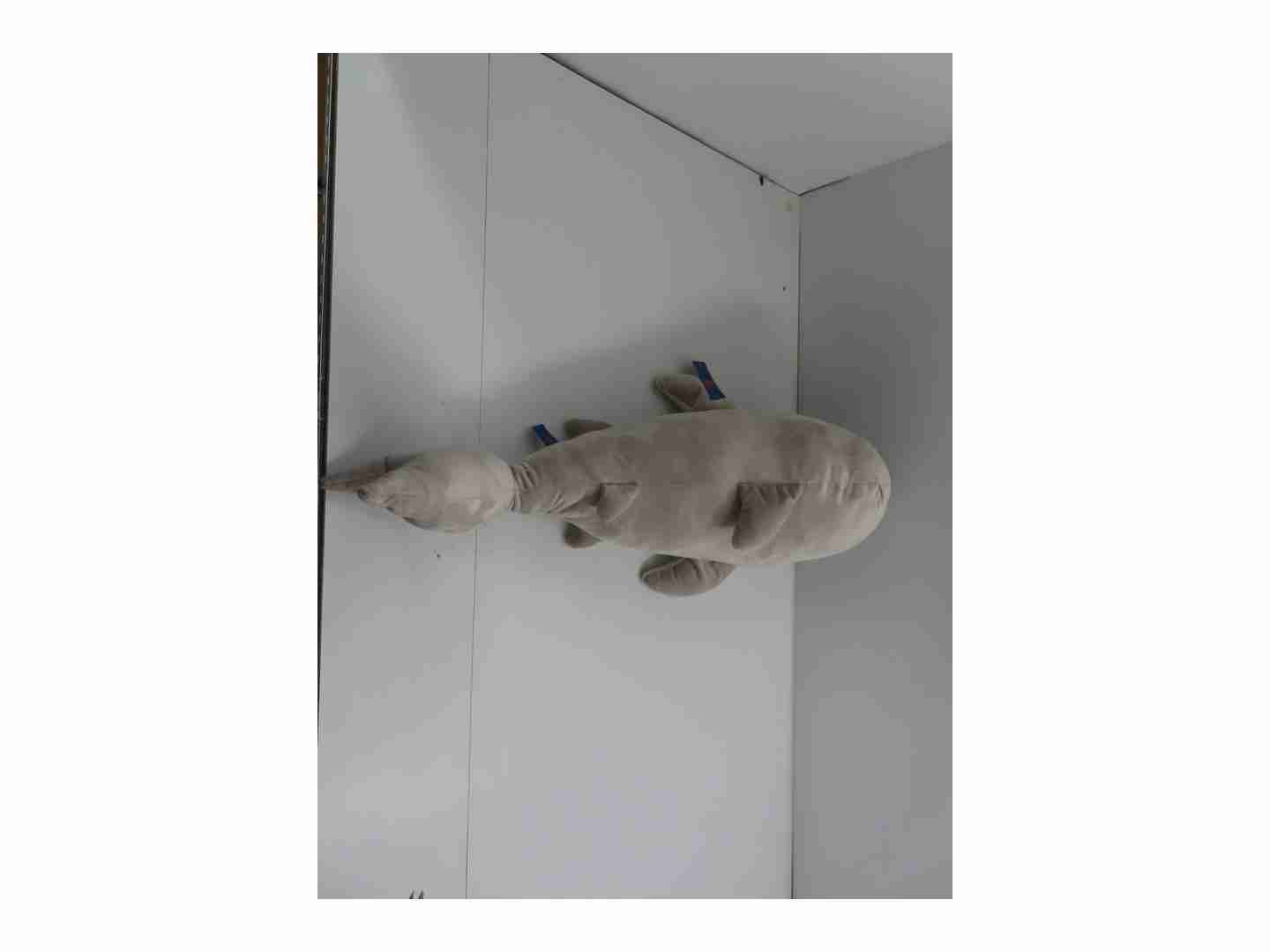 https://cdn.fynd.com/v2/falling-surf-7c8bb8/fyprod/wrkr/products/pictures/item/free/original/fuzzbuzz/491602179/2/k6go09Rgl3-491602179_3.jpg