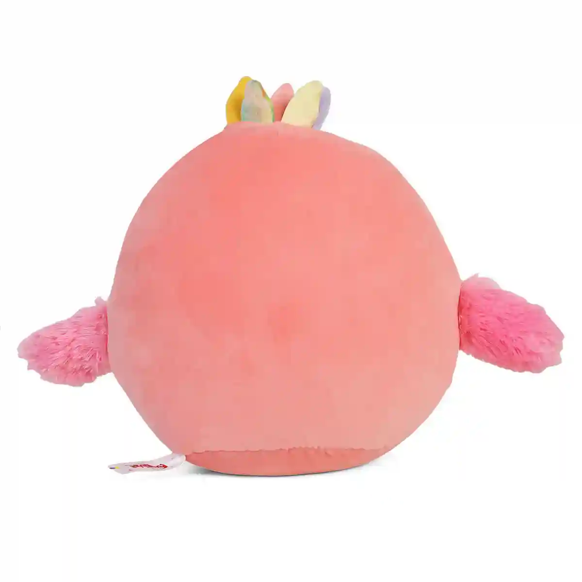 https://cdn.fynd.com/v2/falling-surf-7c8bb8/fyprod/wrkr/products/pictures/item/free/original/fuzzbuzz/493664539/5/Yf9oFHkVdNw-493664539-6_7874.webp
