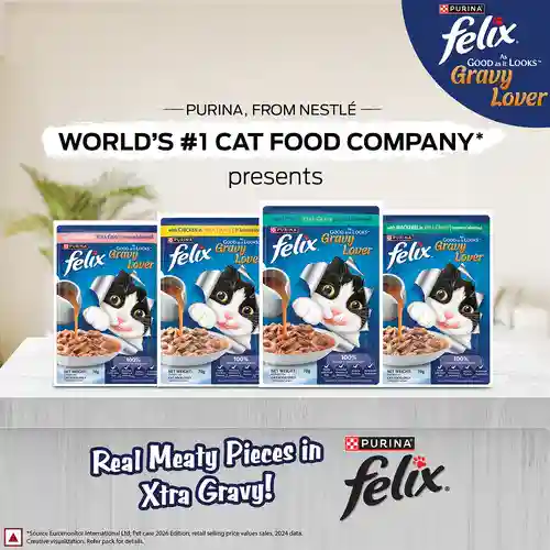 Purina Felix Gravy Lover Meaty Salmon Chunks Wet Cat Food, 70g
