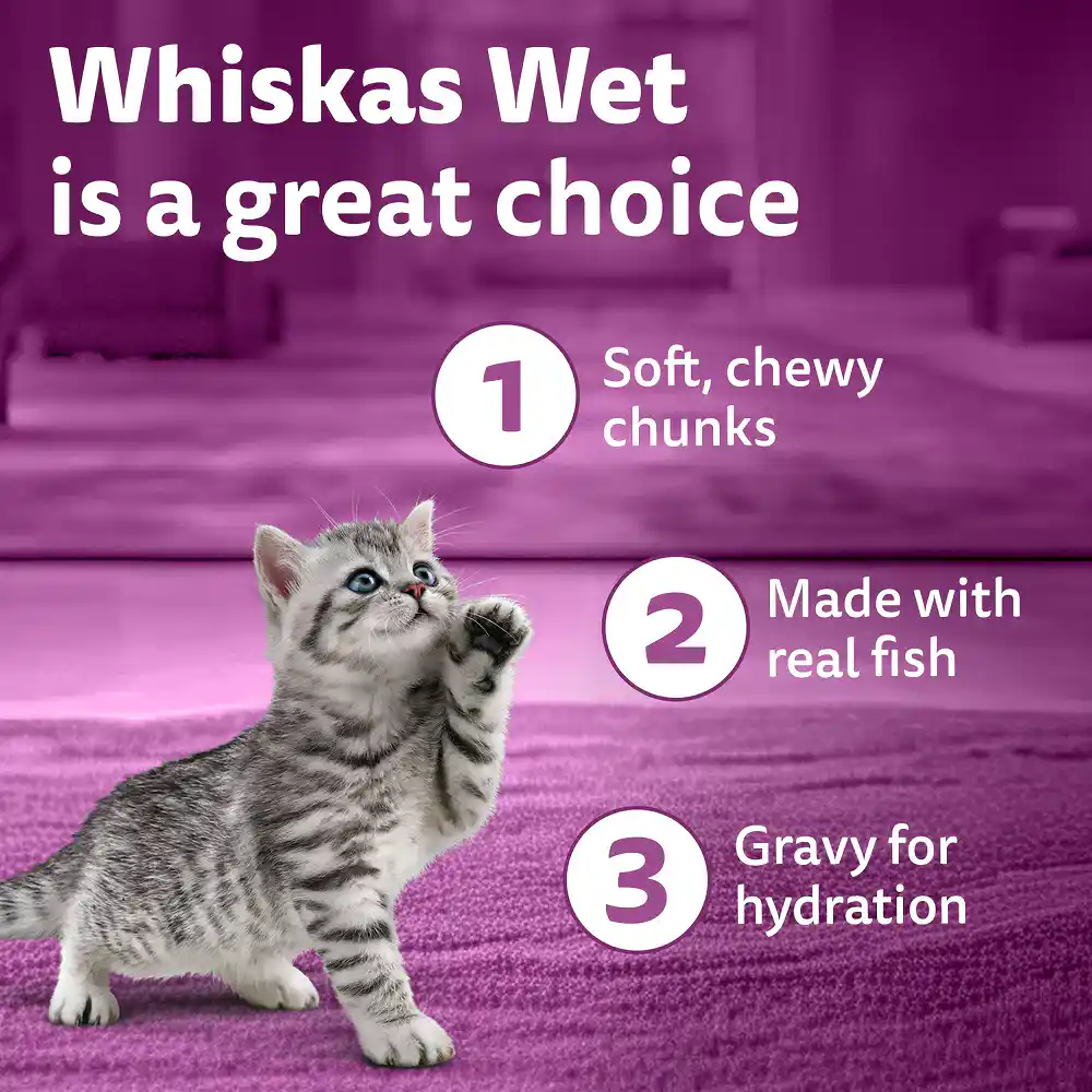 Whiskas Kitten Tuna for Cats 560g