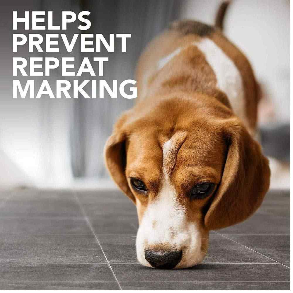 Simple Solution Stain & Odour Remover for Dogs - 1 litre