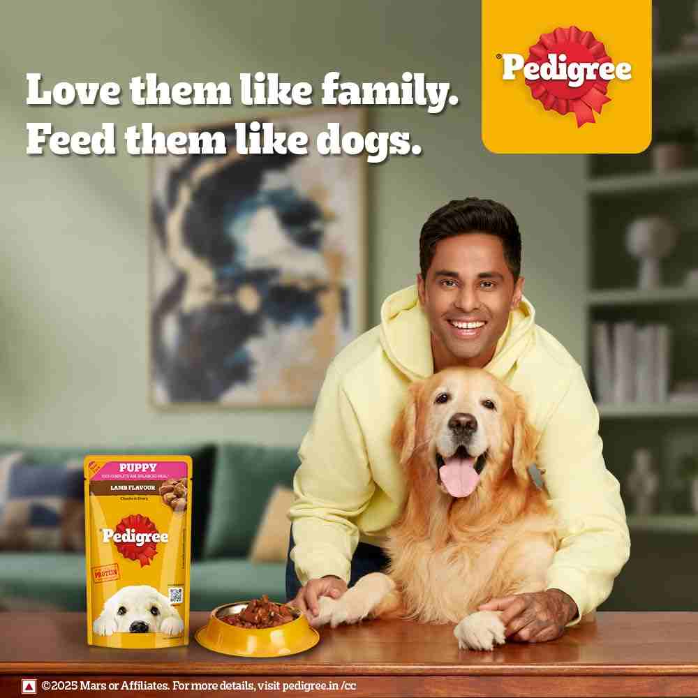 Pedigree Pouch Puppy Lamb Chunks In Gravy Wet Food for Dogs, 130g