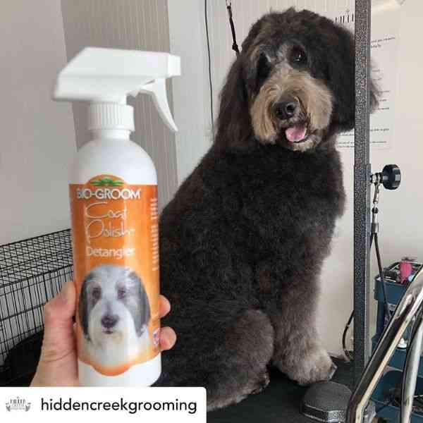 Bio-Groom Coat Polish Spray On-Glosser