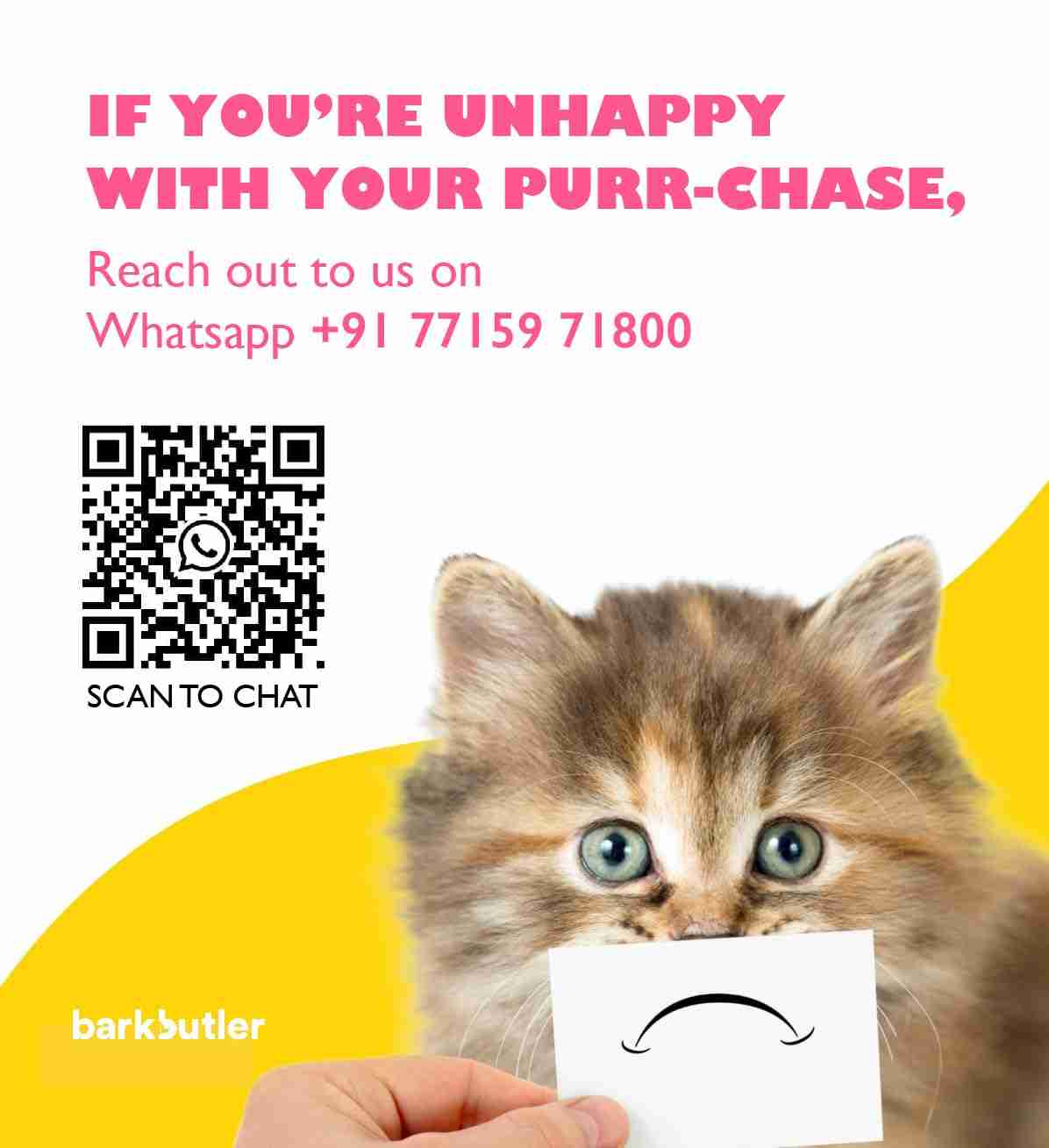 Barkbutler Fofos Pineapple Kitty Comber Cat Scratcher