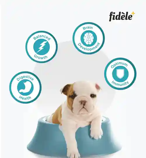 Fidèle All Breeds Starter Puppy Food