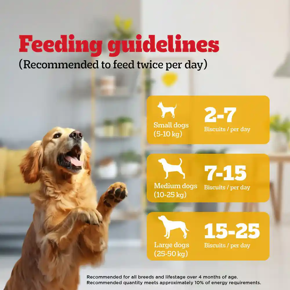 Pedigree Lamb Flavour (4+ Months) Biscrok Biscuits Jar Treats for Dogs