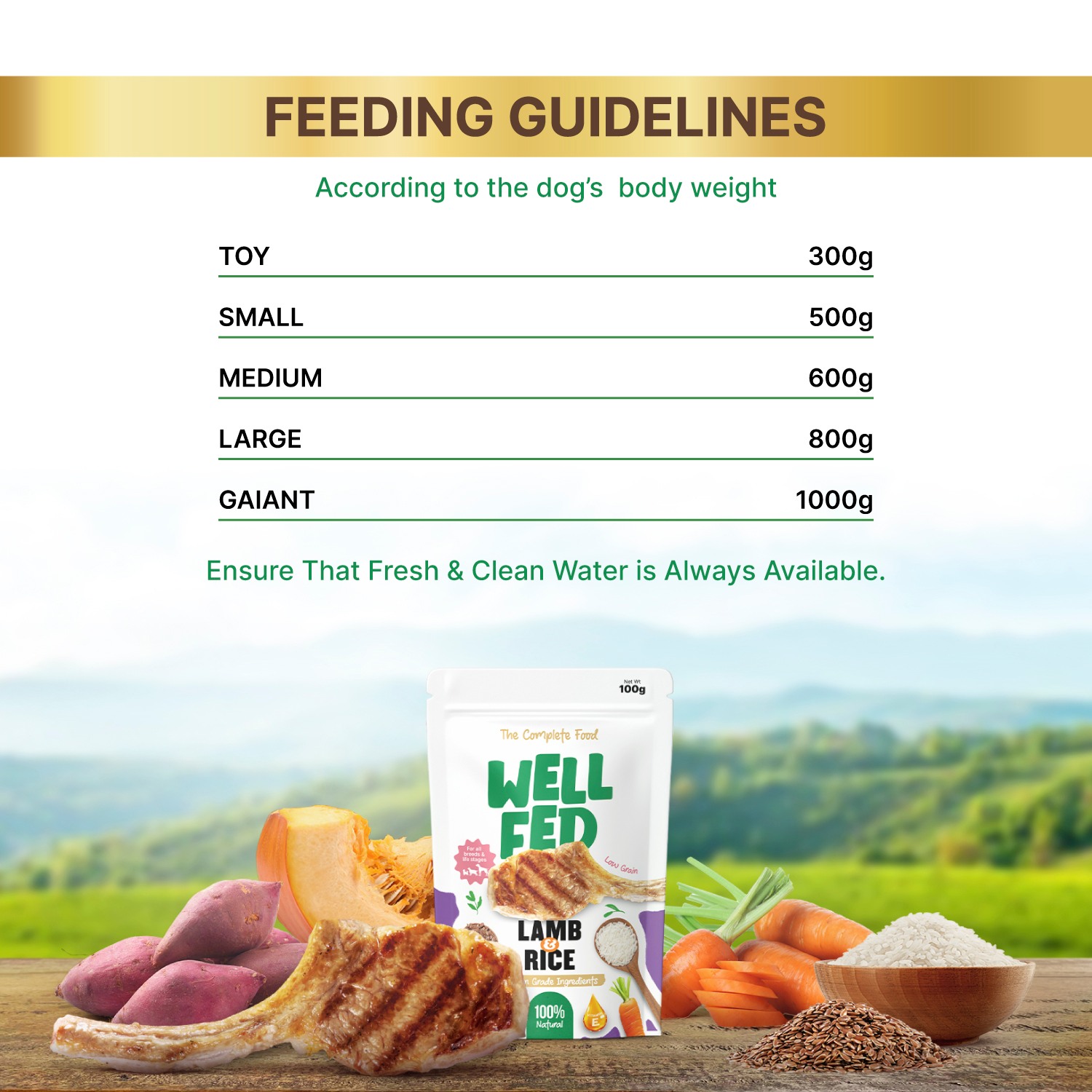 Well Fed Lamb & Rice Wet Dog Food 100 g