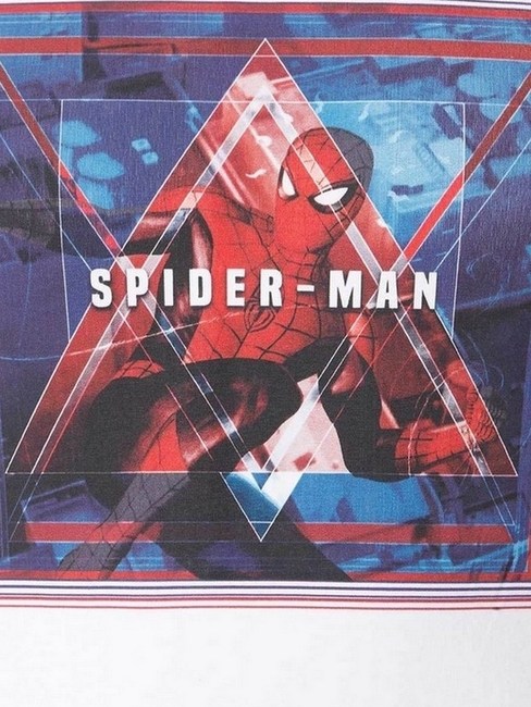 Spider-Man Print Slim Fit Crew-Neck T-shirt