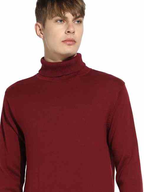 Turtle Neck Full Sleeve Regular Fit Knitwear