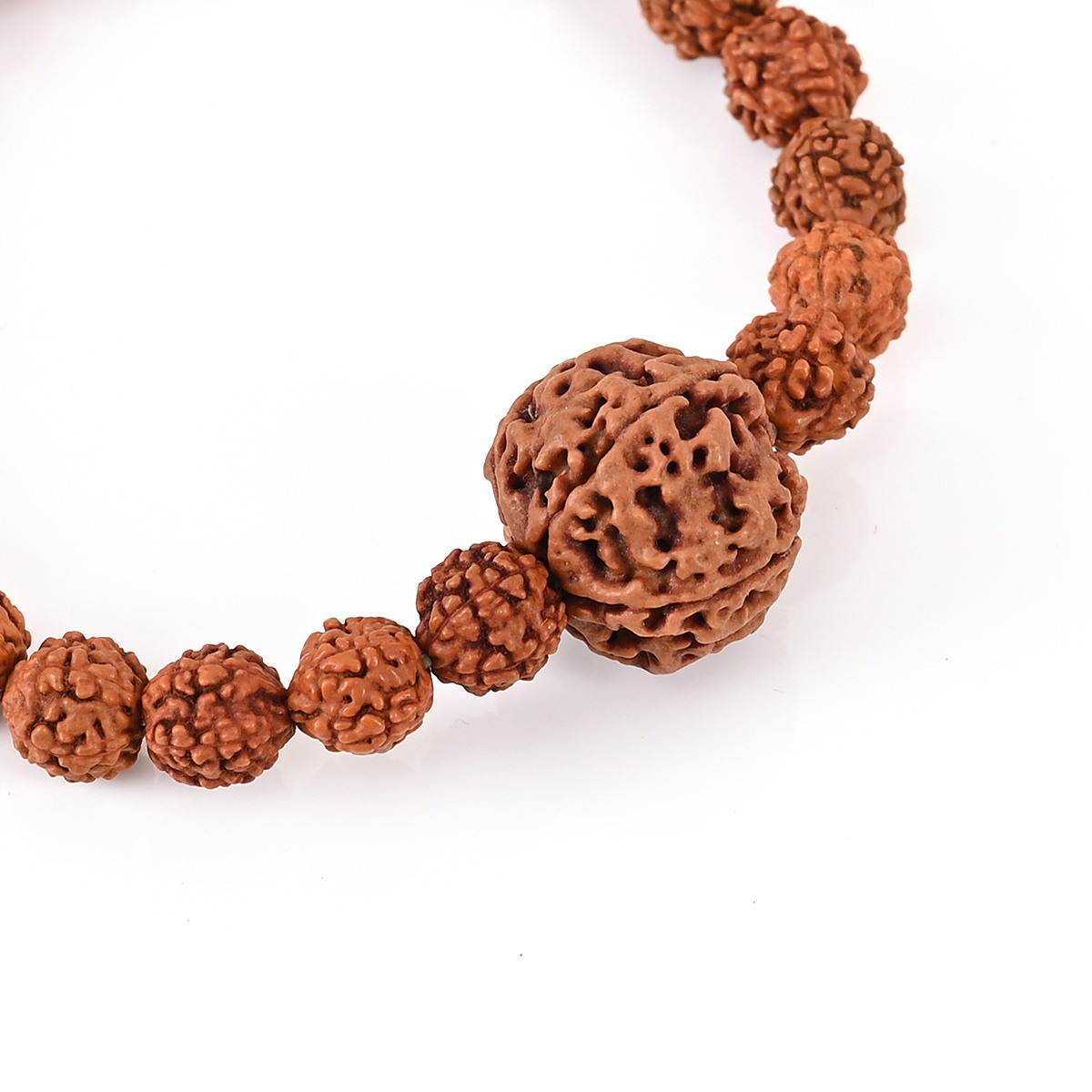 Shiv Ratan Kendra Genuine Rudraksha Bracelet